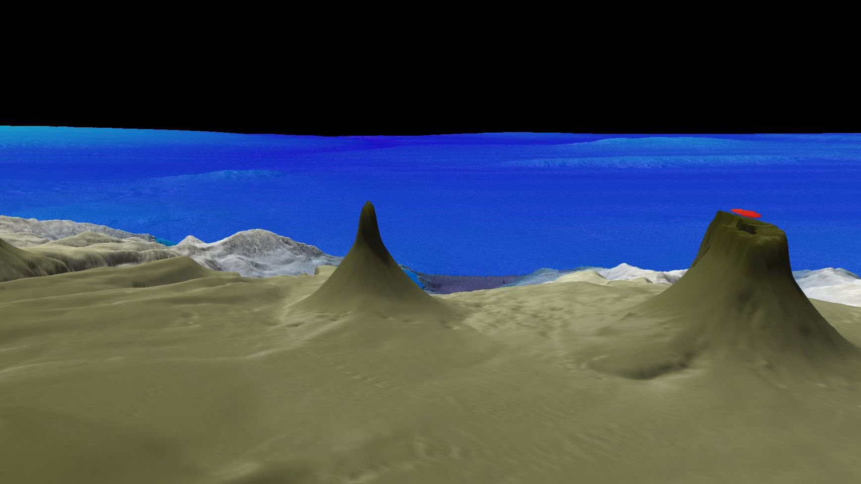 Reef